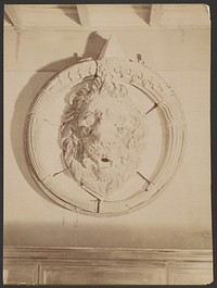 Carved lion in circular base
