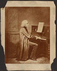 Franz Liszt by Franz S Hanfstaengl