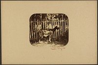 Goat by Camille Silvy