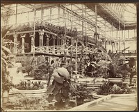 Crystal Palace, Central Nave by Philip H Delamotte