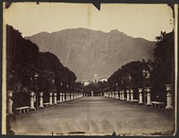 Inside of the Garden of the Order of Bare-Footed Monks, Lima by Henry DeWitt Moulton