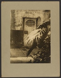A Slave Prison (Calabozo) / New Orleans Courtyard by Arnold Genthe