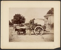 Italian farmer with cart by Giorgio Sommer