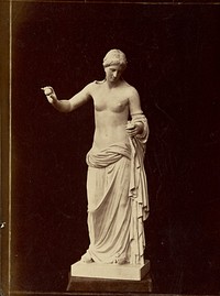 The Venus of Arles