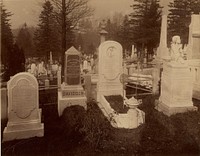 View of Davidson Tombstones in Laurel Hill Cemetery, Philadelphia