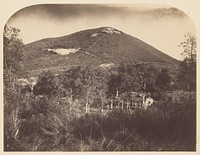 Mount Ophir Mine by Carleton Watkins