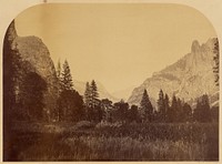 Yosemite, View on Valley Floor, with Sentinel Rock at Right by Carleton Watkins