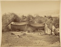 Tente de Bédouins nomades, Palestine by Félix Bonfils