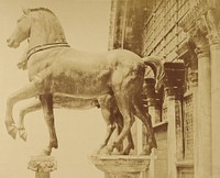 Horse statues by Glimette