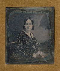 Portrait of a seated woman in patterned dress by John Plumbe Jr