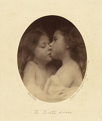 The Turtle Doves by Julia Margaret Cameron