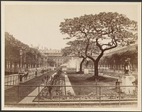 Garden of Palais-Royale