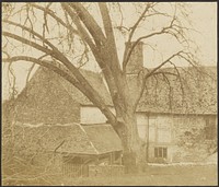 Old House and Tree by Roger Fenton