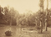 Scene at the Bois de Boulogne, Paris by Charles Marville