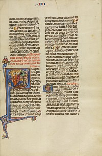 Initial S: A Judge with Two Men Pointing at Two Peacocks by Michael Lupi de Çandiu