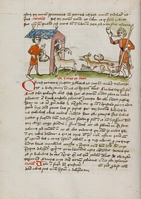 A Hunter with Dogs Hunting Stag Which Runs into an Ox Stall; A Fox Trying to Snatch Grapes from a Vineyard