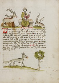 Jupiter as a Elderly Bearded Man Enthroned between a Stag and a Hare; A Wolf under a Tree