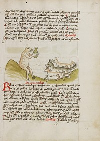 A Frog Sitting on a Hill Receiving a Vessel from a Group of Animals
