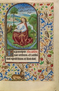 Saint John on Patmos by Master of Jacques of Luxembourg
