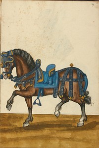 A Horse in Armor