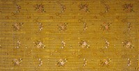 Length of Silk Fabric