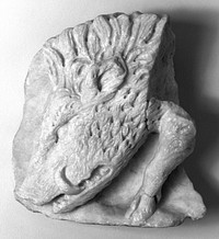 Fragment of a Sarcophagus with the Head of a Boar
