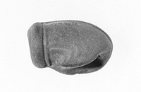 Fragment (Perhaps of a Smoking Pipe)