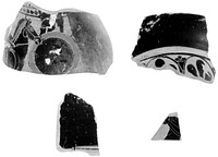 Attic Black-Figure Neck Amphora Rim Fragment