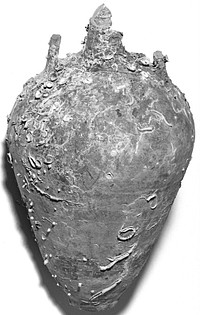 Transport Amphora