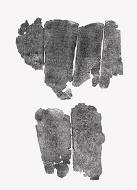 Lamella Fragment (comprised of 6 unjoined fragments)