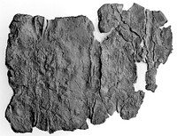 Lamella Fragment (comprised of 6 joined fragments)