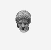 Female Head with Knidian Coiffure
