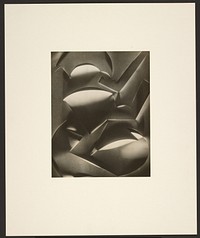 Cut-paper Abstraction by Francis Bruguière