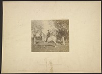 Cavalier dans une prairie, entre deux saules by Louis Désiré Blanquart Evrard
