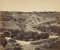 Jerusalem. Jardin de Gesthsemane by James Robertson, Felice Beato and Antonio Beato