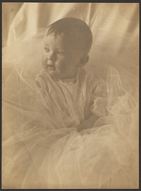 Portrait of a Baby Surrounded by Tulle by Louis Fleckenstein