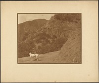 Dog and Woman in Mountainous Landscape by Louis Fleckenstein