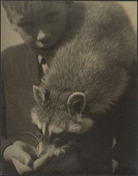 Portrait of a Boy Feeding a Raccoon by Louis Fleckenstein