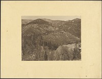 Landscape with Trees in Foreground by Louis Fleckenstein