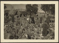 Fleckenstein Family in Cactus Garden by Louis Fleckenstein