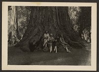 Group Portrait at Base of Tree by Louis Fleckenstein