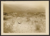 Coyote Canyon, 8/26/34 by Louis Fleckenstein