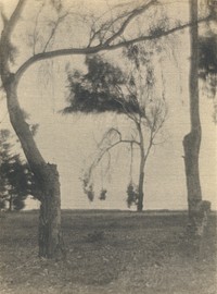 Landscape with Trees by Louis Fleckenstein