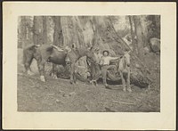 Men and Pack Horses in Forest Clearing by Louis Fleckenstein