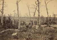Battle Ground of Resacca, Georgia, No. 3 by George N Barnard