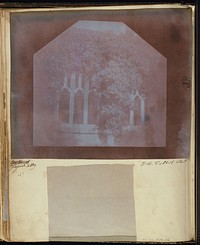 "Cloisters, an ivy bush, 3' bright"] / [Detail of the Cloisters at Lacock Abbey by William Henry Fox Talbot