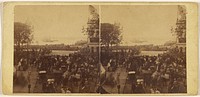 Bowling Green, On the arrival of the Prince of Wales in New York. [View No. 3] by D Appleton and Co