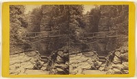 Foot Bridge over the Flume - Enfield Ravine. by Edward and Henry T Anthony and Co