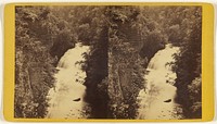 Scenery of Ithaca and Vicinity, N.Y. Looking down from the Chimney Rocks on Forrest Fall, Fall Creek. by Edward and Henry T Anthony and Co