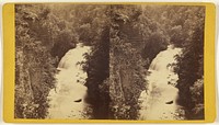 Scenery of Ithaca and Vicinity, N.Y. Looking down from the Chimney Rocks on Forrest Hall, Fall Creek. by Edward and Henry T Anthony and Co
